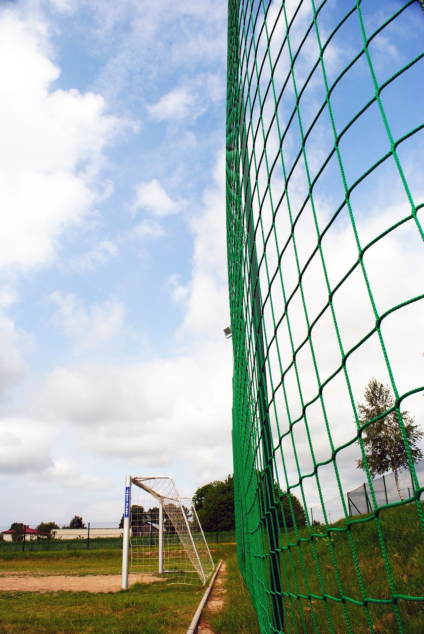 在悉尼FC